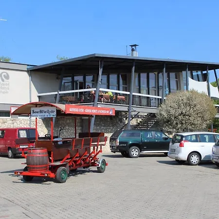 Amstel Hattyu Panzio -erintesmentes Bejelentkezes Frühstückspension Győr